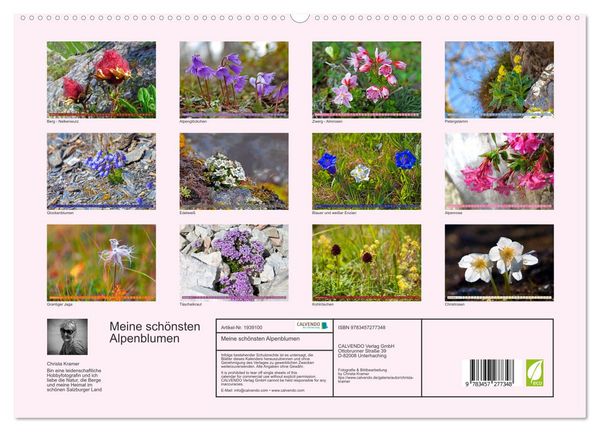 Produktbild: Meine sch&ouml;nsten Alpenblumen (hochwertiger Premium Wandkalender 2026 DIN A2 quer), Kunstdruck in Hochglanz