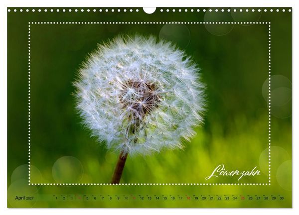 Produktbild: Bl&uuml;tenbouquet (Wandkalender 2027 DIN A3 quer), CALVENDO Monatskalender