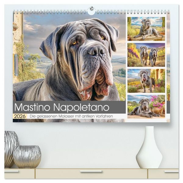 Produktbild: Mastino Napoletano. Die gelassenen Molosser mit antiken Vorfahren (hochwertiger Premium Wandkalender 2026 DIN A2 quer), Kunstdruck in Hochglanz