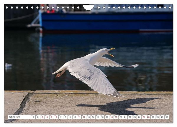 Produktbild: Unser sch&ouml;nes Wismar (Wandkalender 2026 DIN A4 quer), CALVENDO Monatskalender