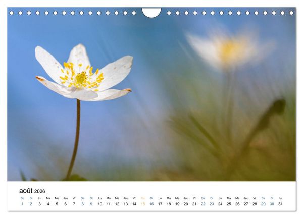 Produktbild: Fleurs po&eacute;tiques (Calendrier mural 2026 DIN A4 vertical), CALVENDO calendrier mensuel