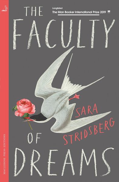 Produktbild: The Faculty of Dreams