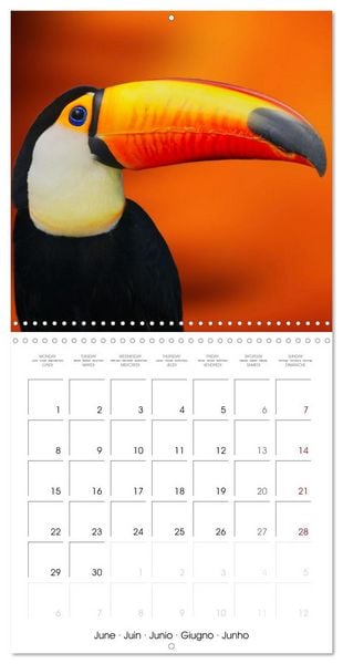 Produktbild: Wonderful Birds (Wall Calendar 2026 12 &times; 12 Inch) CALVENDO 12 Month Wall Calendar