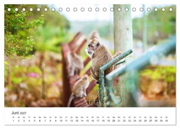 Produktbild: Traumhaftes Mauritius (Tischkalender 2027 DIN A5 quer), CALVENDO Monatskalender