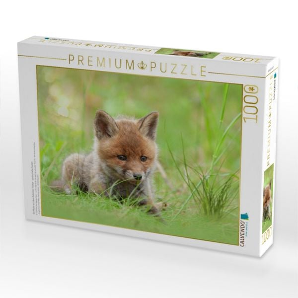 Produktbild: CALVENDO Puzzle Ein Motiv aus dem Kalender F&uuml;chse - zauberhafte Seelen | 1000 Teile Lege-Gr&ouml;&szlig;e 64x48cm Foto-Puzzle f&uuml;r gl&uuml;ckliche Stunden