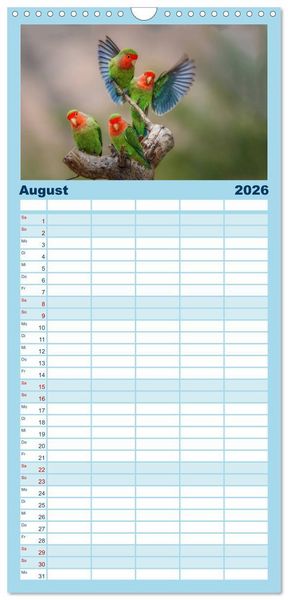 Produktbild: Familienplaner 2026 - Papageien - Frech, sch&ouml;n und schlau mit 5 Spalten (Wandkalender, 21 x 45 cm) CALVENDO