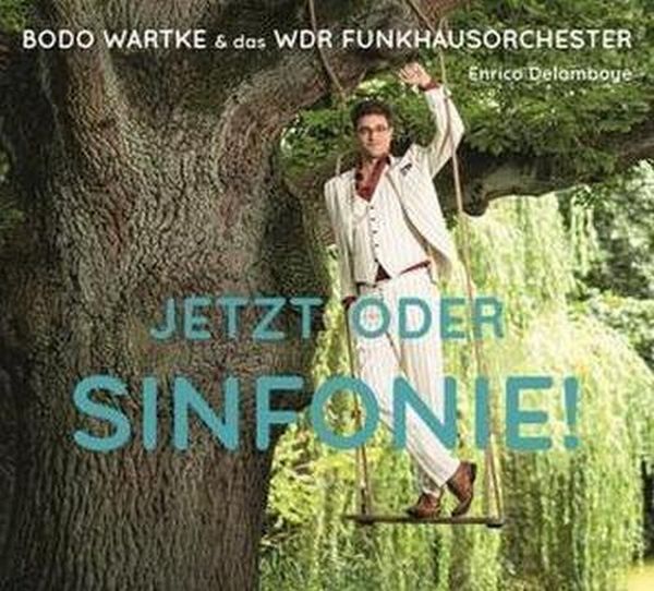 Produktbild: Jetzt oder Sinfonie !