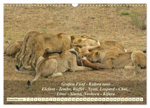 Produktbild: Jambo Kenya (Wandkalender 2026 DIN A3 quer), CALVENDO Monatskalender