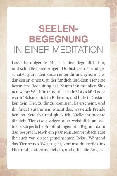 Produktbild: Mit Tieren kommunizieren