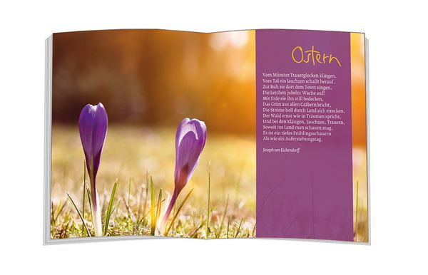 Produktbild: Fr&ouml;hliche Ostern &uuml;berall