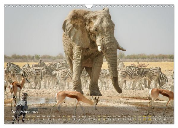 Produktbild: Namibia - African Beauty (Wall Calendar 2027 DIN A3 landscape), CALVENDO 12 Month Wall Calendar
