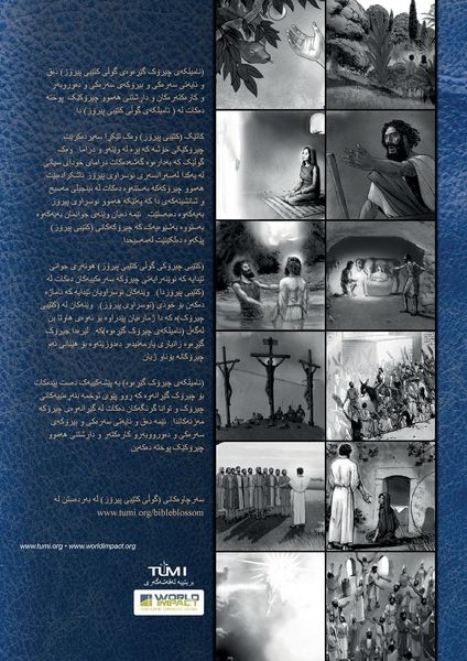 Produktbild: Bible Blossom Storyteller's Handbook, Kurdish