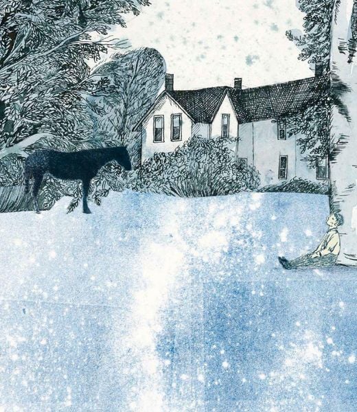 Produktbild: Der Schneeflockensammler