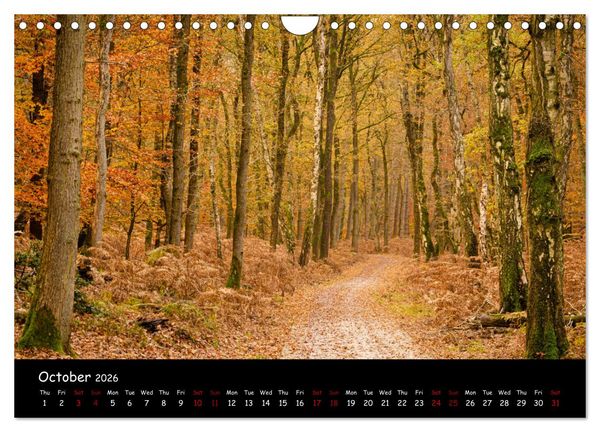 Produktbild: Moody calendar (Wall Calendar 2026 DIN A4 landscape), CALVENDO 12 Month Wall Calendar