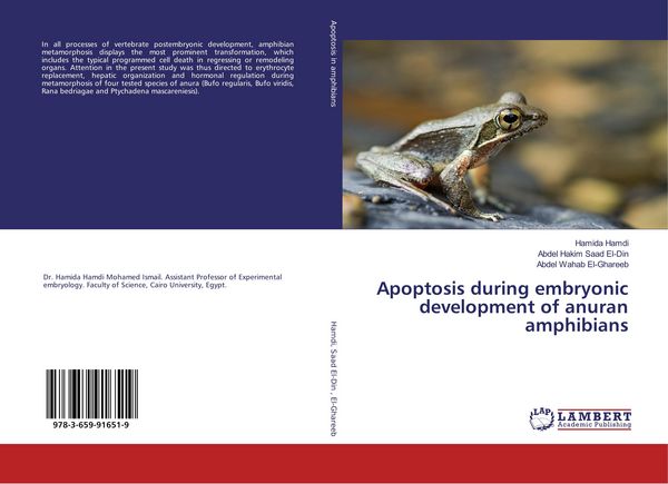 Produktbild: Apoptosis during embryonic development of anuran amphibians