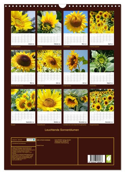 Produktbild: Leuchtende Sonnenblumen (Wandkalender 2026 DIN A3 hoch), CALVENDO Monatskalender