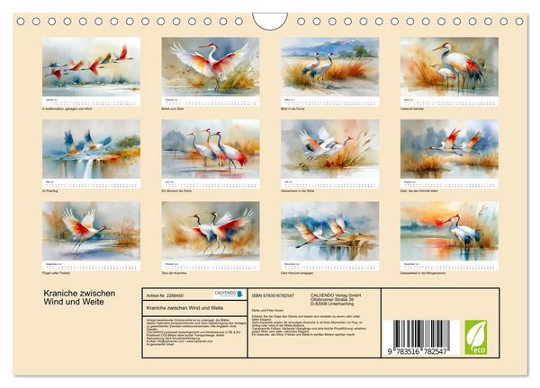 Produktbild: Kraniche zwischen Wind und Weite (Wandkalender 2027 DIN A4 quer), CALVENDO Monatskalender