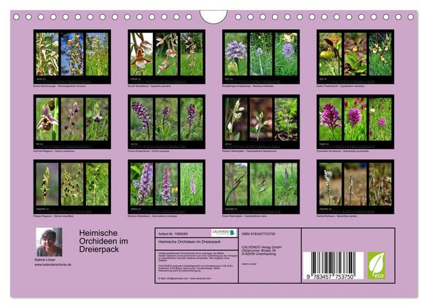 Produktbild: Heimische Orchideen im Dreierpack (Wandkalender 2026 DIN A4 quer), CALVENDO Monatskalender