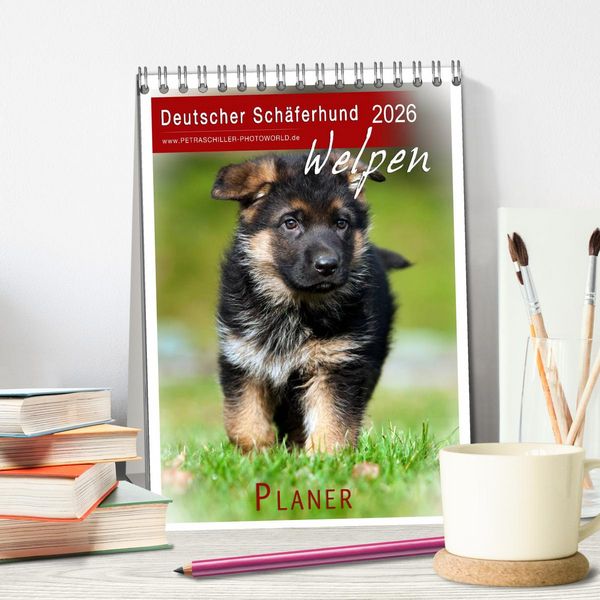 Produktbild: Deutscher Sch&auml;ferhund - Welpen, Planer (Tischkalender 2026 DIN A5 hoch), CALVENDO Monatskalender