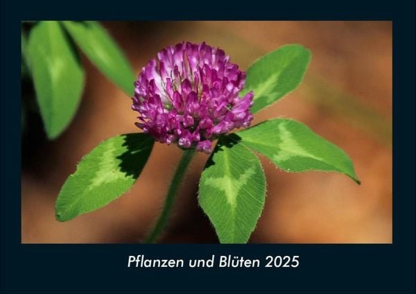 Pflanzen und Blüten 2025 Fotokalender DIN A4