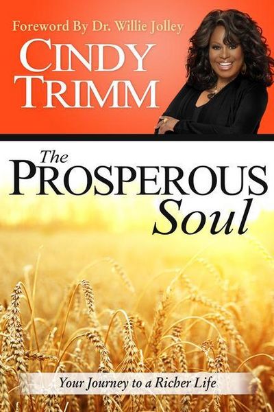Produktbild: The Prosperous Soul: Your Journey to a Richer Life