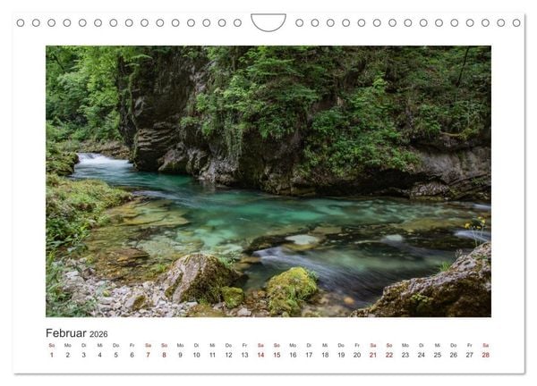 Produktbild: Slowenien - Wilde B&auml;ren und zauberhafte Natur (Wandkalender 2026 DIN A4 quer), CALVENDO Monatskalender