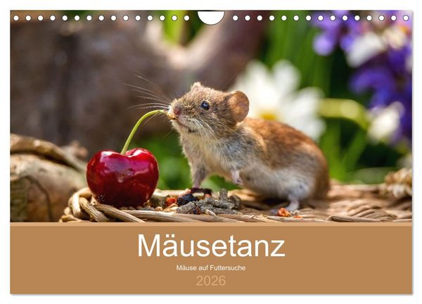 Mäusetanz (Wandkalender 2026 DIN A4 quer), CALVENDO Monatskalender