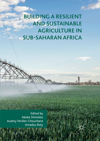 Produktbild: Building a Resilient and Sustainable Agriculture in Sub-Saharan Africa