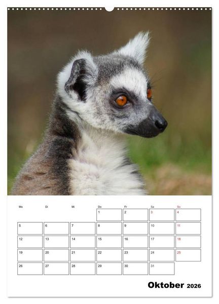 Produktbild: Katta Terminplaner (Wandkalender 2026 DIN A2 hoch), CALVENDO Monatskalender