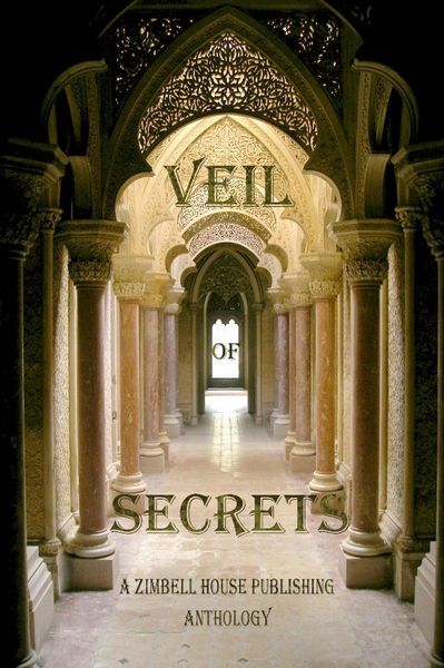 Produktbild: Veil of Secrets