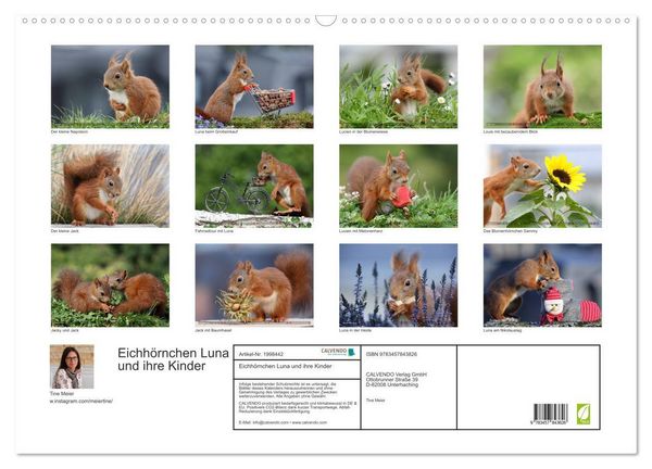 Produktbild: Eichh&ouml;rnchen Luna und ihre Kinder (Wandkalender 2026 DIN A2 quer), CALVENDO Monatskalender