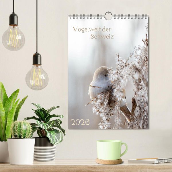 Produktbild: Vogelwelt der Schweiz (Wandkalender 2026 DIN A4 hoch), CALVENDO Monatskalender