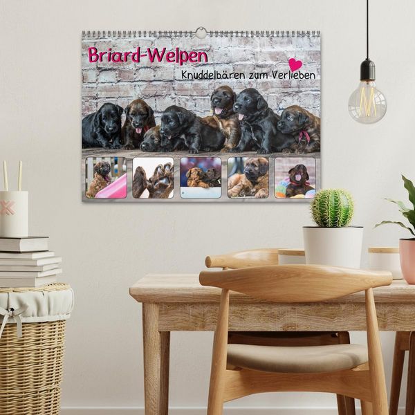 Produktbild: Briard-Welpen - Knuddelb&auml;ren zum Verlieben (Wandkalender 2026 DIN A3 quer), CALVENDO Monatskalender