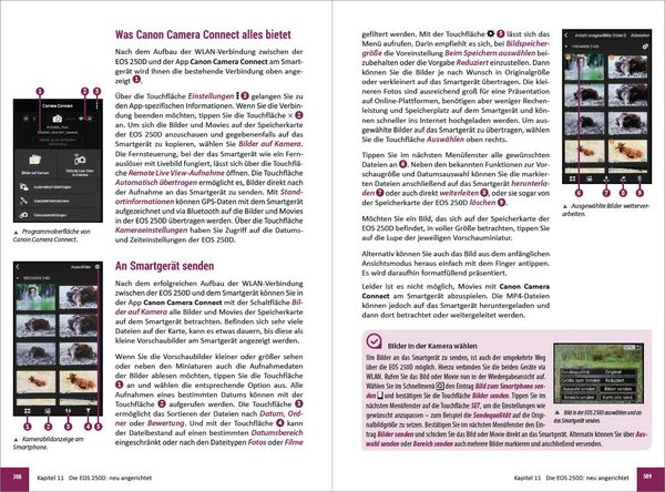 Produktbild: Canon EOS 200D / 250D