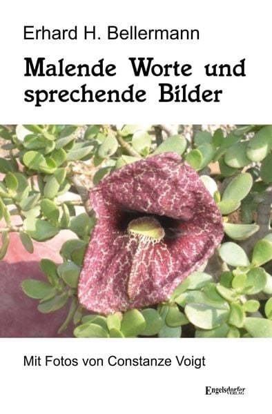 Produktbild: Malende Worte und sprechende Bilder