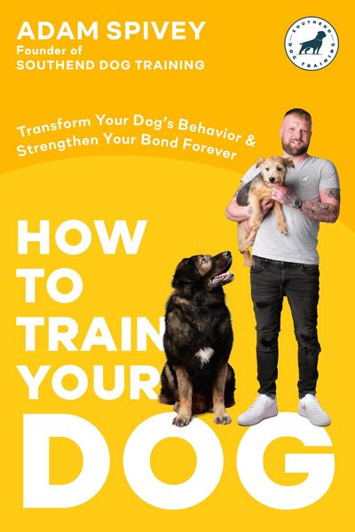 Produktbild: How to Train Your Dog