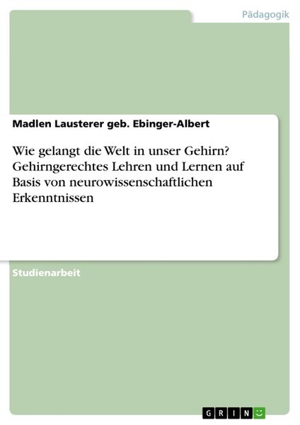 Produktbild: Wie gelangt die Welt in unser Gehirn? Gehirngerechtes Lehren und Lernen auf Basis von neurowissenschaftlichen Erkenntnissen