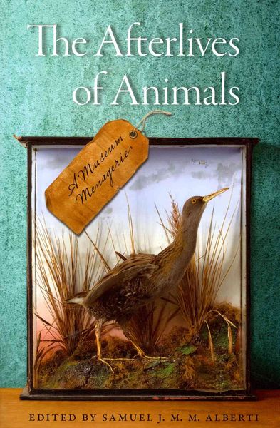 Produktbild: Afterlives Of Animals