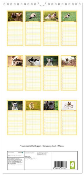Produktbild: Familienplaner 2026 - Franz&ouml;sische Bulldoggen - Schutzengel auf 4 Pfoten mit 5 Spalten (Wandkalender, 21 x 45 cm) CALVENDO