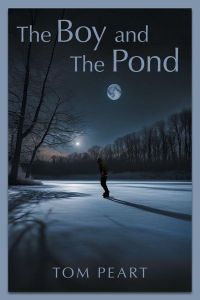 Produktbild: The Boy and The Pond