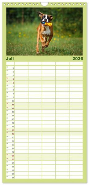 Produktbild: Familienplaner 2026 - Wenn ich gro&szlig; bin werd' ich Boxer mit 5 Spalten (Wandkalender, 21 x 45 cm) CALVENDO