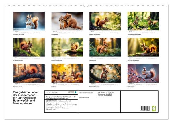 Produktbild: Das geheime Leben der Eichh&ouml;rnchen - Ein Jahr zwischen Baumwipfeln und Nussverstecken (Wandkalender 2026 DIN A2 quer), CALVENDO Monatskalender