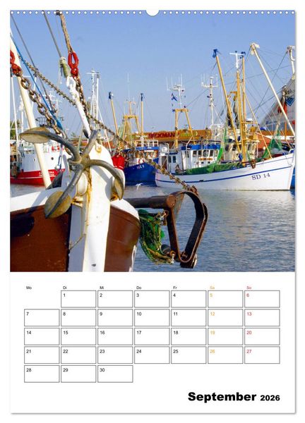 Produktbild: Vielseitiges B&uuml;sum (Wandkalender 2026 DIN A2 hoch), CALVENDO Monatskalender