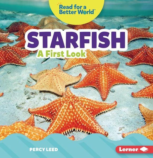 Produktbild: Starfish