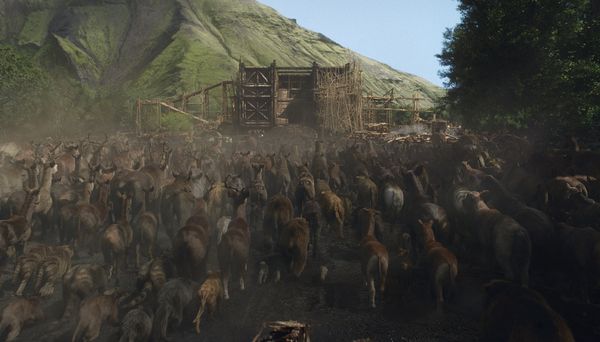 Produktbild: Noah