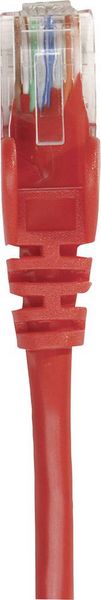 Produktbild: Intellinet 319034 RJ45 Patchkabel CAT 6a S/FTP 0.50 m Rot Einzelschirm, Gesamtschirm, Halogenfrei 1 St.