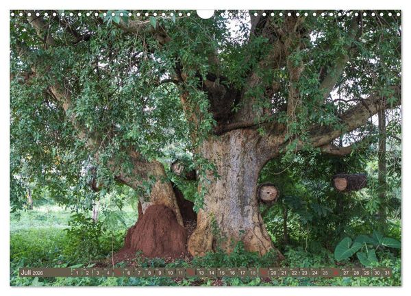 Produktbild: Geheimtipp Uganda (Wandkalender 2026 DIN A3 quer), CALVENDO Monatskalender