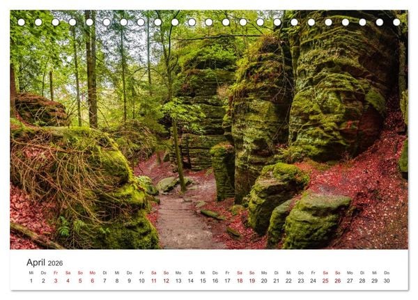 Produktbild: DEUTSCHLAND, S&auml;chsische Schweiz Nationalpark, M&auml;rchenwald (Tischkalender 2026 DIN A5 quer), CALVENDO Monatskalender