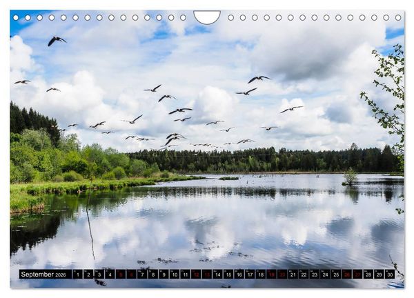 Produktbild: Ausflugsziele rund um Isny (Wandkalender 2026 DIN A4 quer), CALVENDO Monatskalender