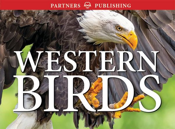 Produktbild: Western Birds